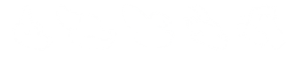PhenodToy