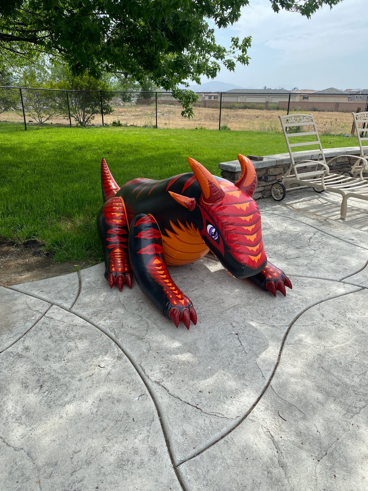 Ember Dragon