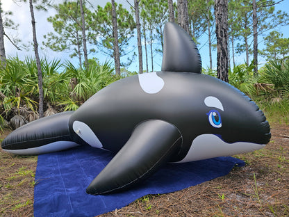 PhenodToy Whale (4m Size) 13ft