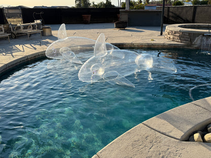 PhenodToy Clear Whale Preorder (2.5M Size)