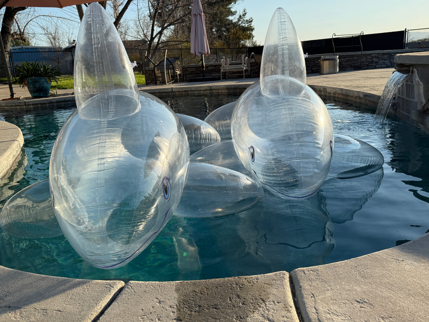 PhenodToy Clear Whale Preorder (2.5M Size)