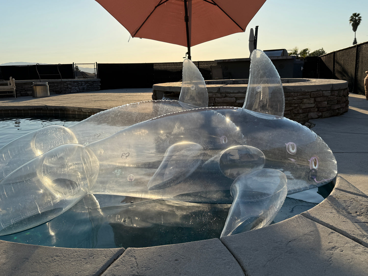 PhenodToy Clear Whale Preorder (2.5M Size)