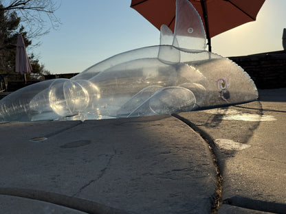 PhenodToy Clear Whale Preorder (2.5M Size)