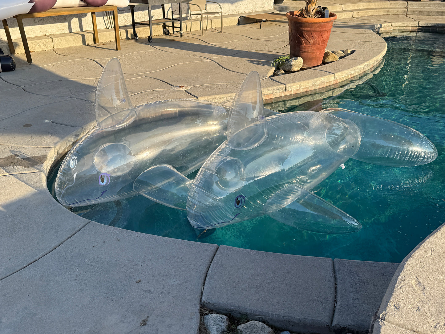 PhenodToy Clear Whale Preorder (2.5M Size)