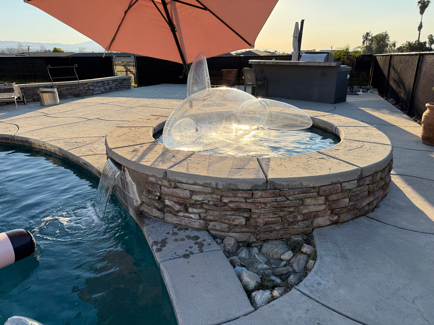 PhenodToy Clear Whale Preorder (2.5M Size)