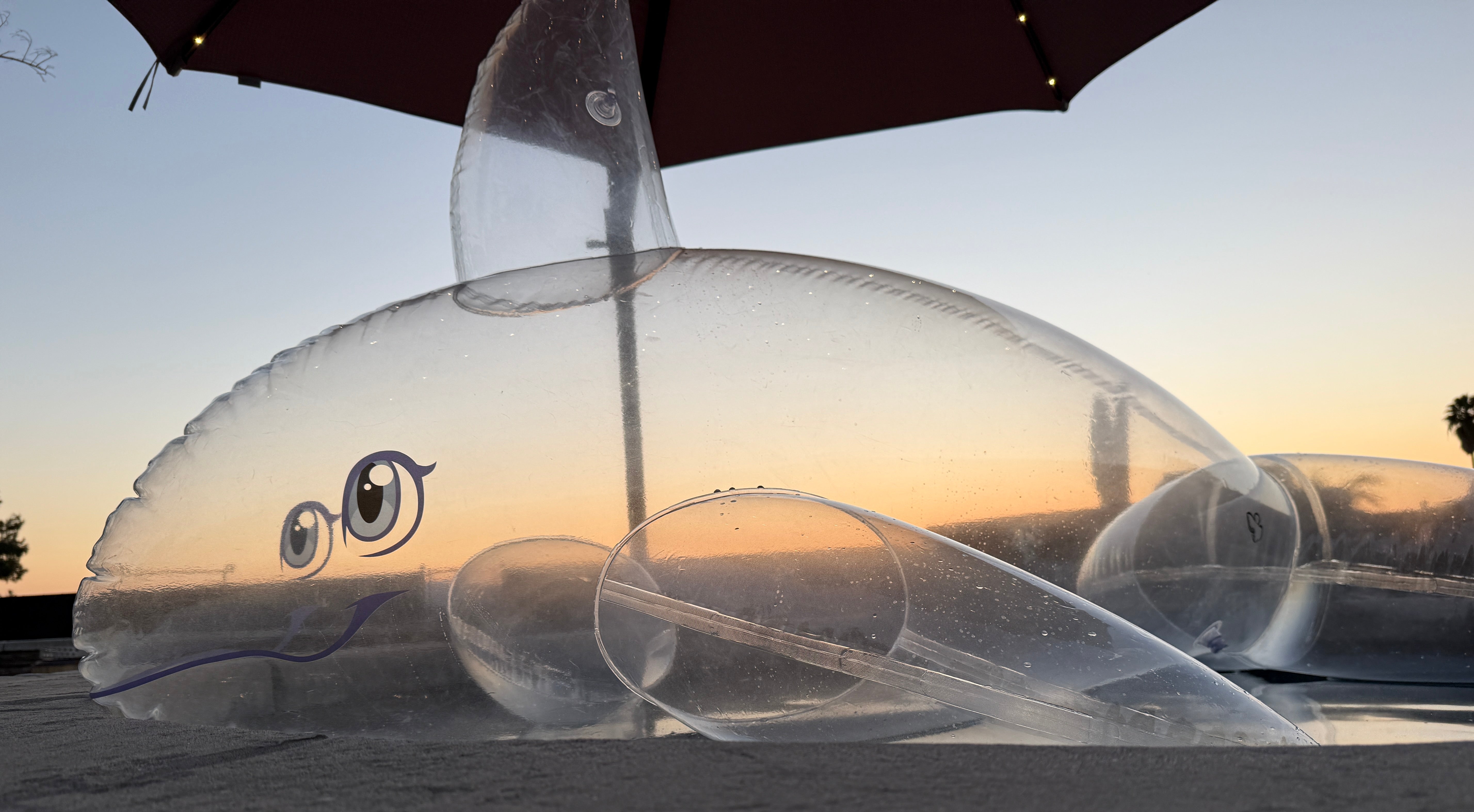 PhenodToy Clear Whale Preorder (2.5M Size)
