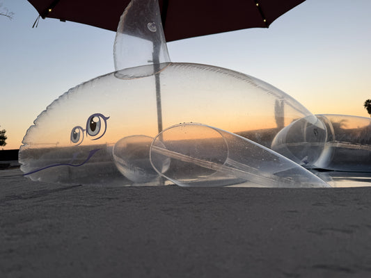 PhenodToy Clear Whale Preorder (2.5M Size)