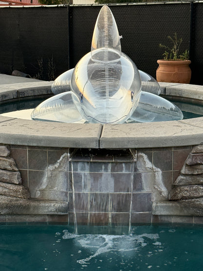 PhenodToy Clear Whale Preorder (2.5M Size)