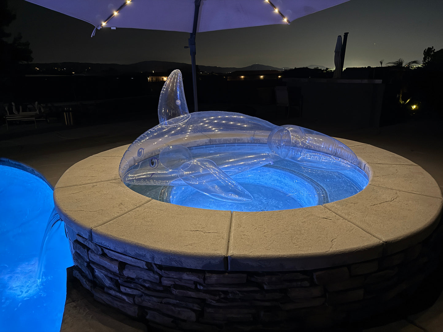 PhenodToy Clear Whale Preorder (2.5M Size)