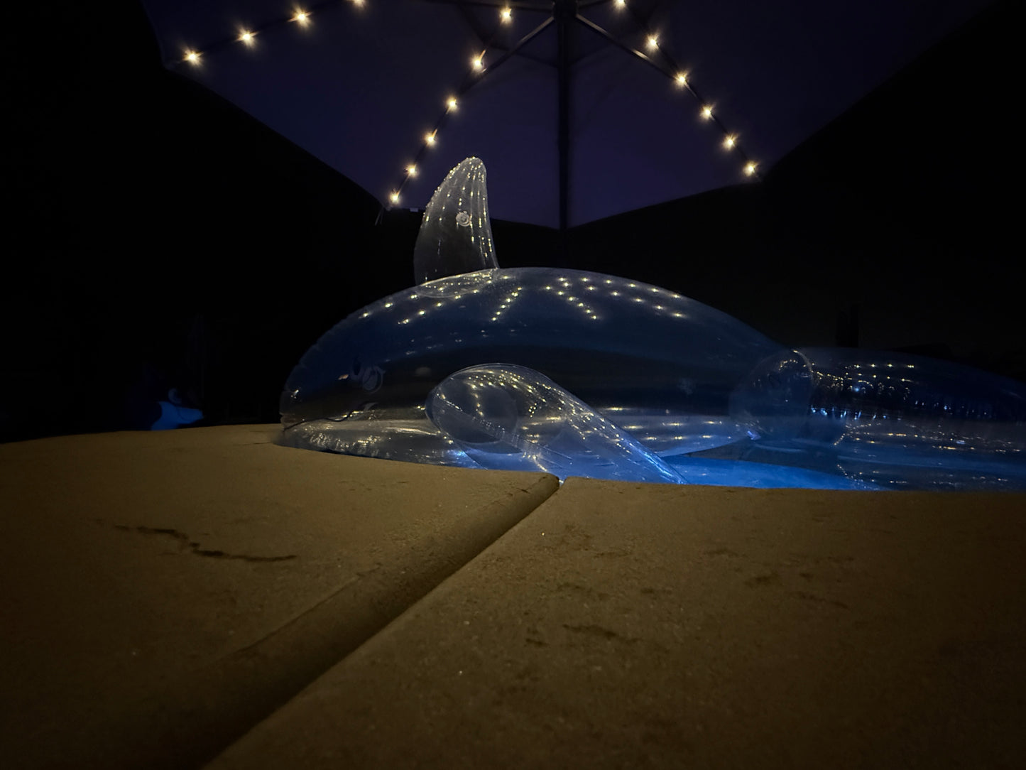 PhenodToy Clear Whale Preorder (2.5M Size)