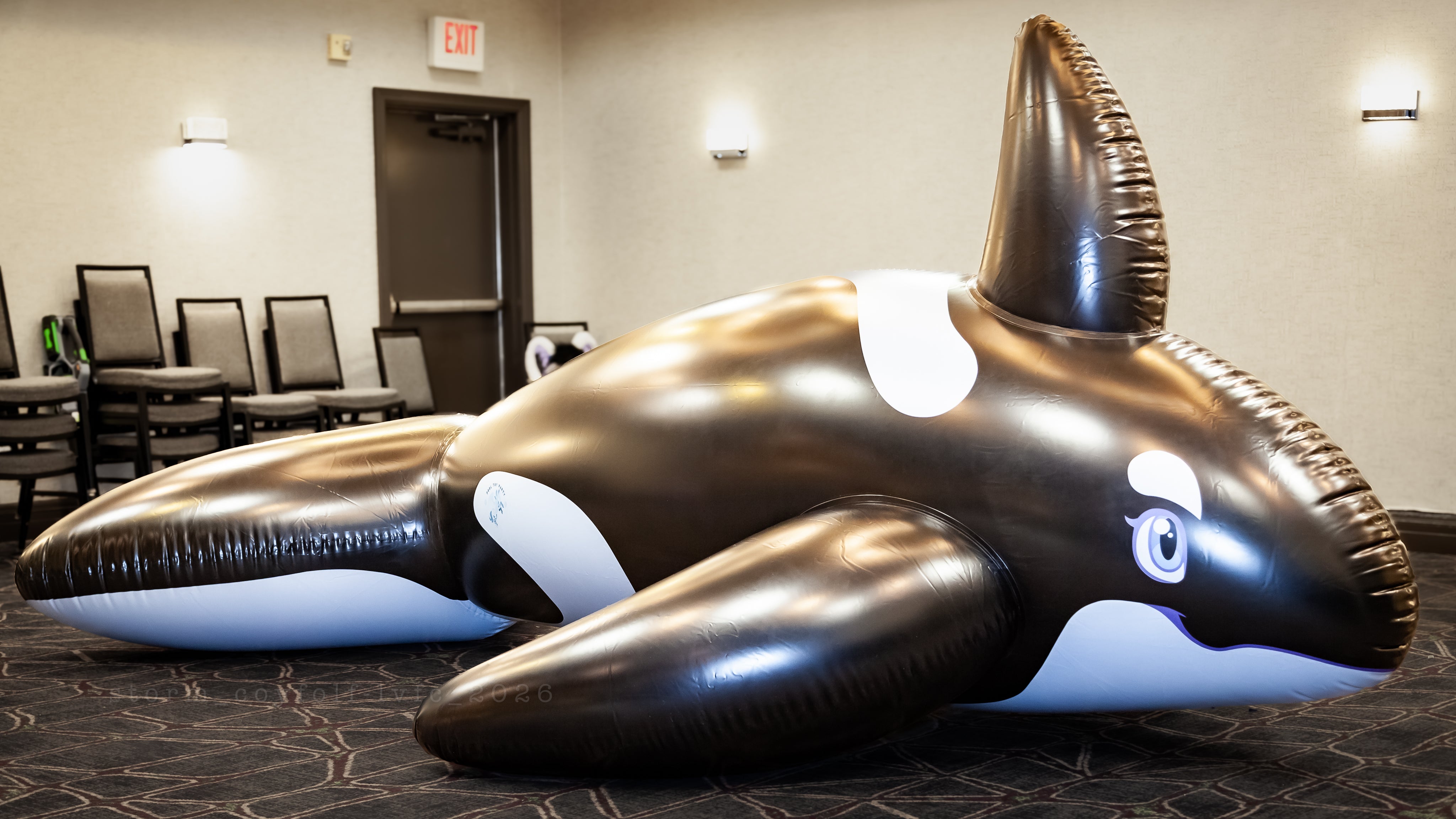 PhenodToy Whale (4m Size) 13ft -IN STOCK-