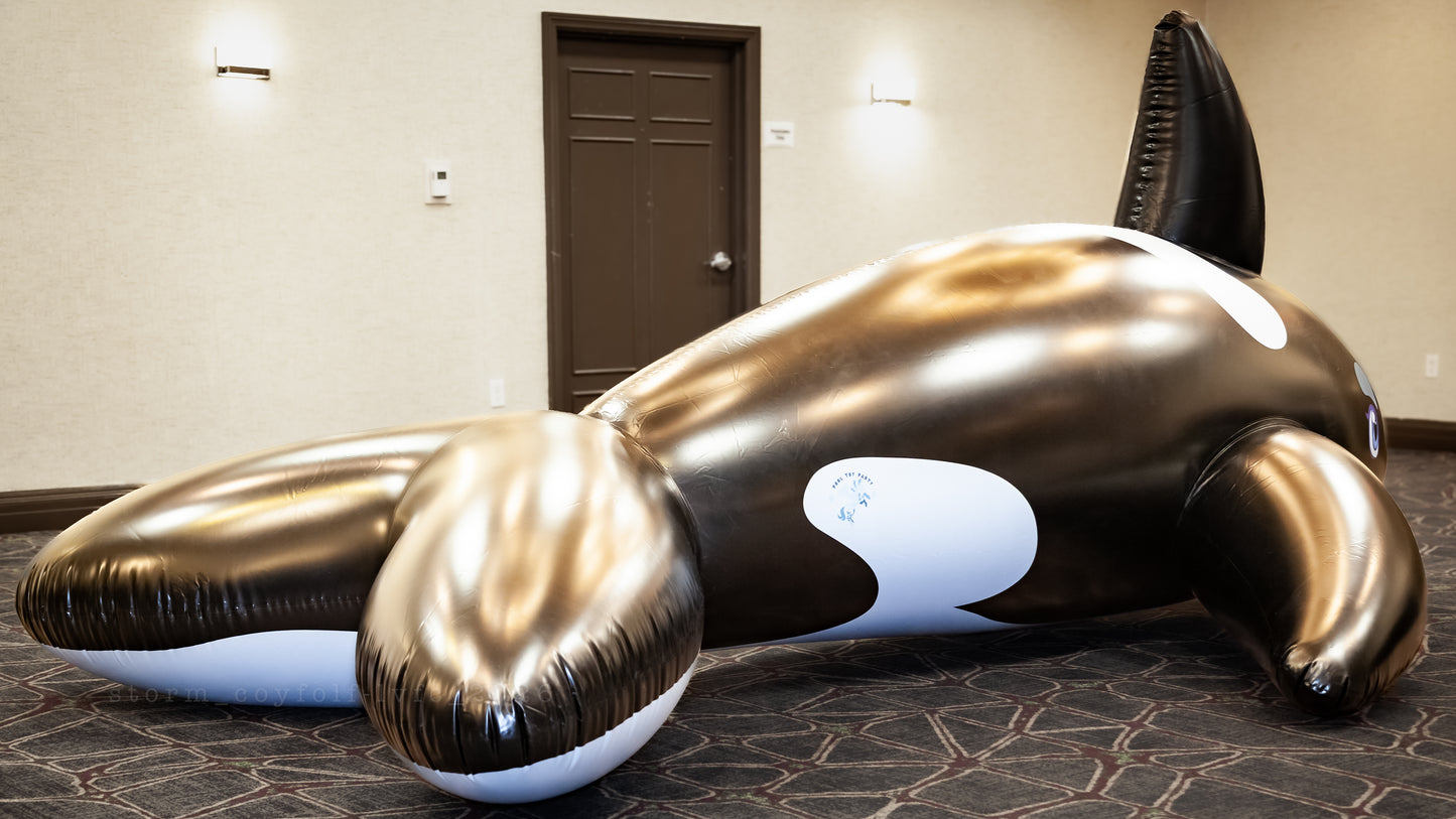 PhenodToy Whale (4m Size) 13ft -IN STOCK-
