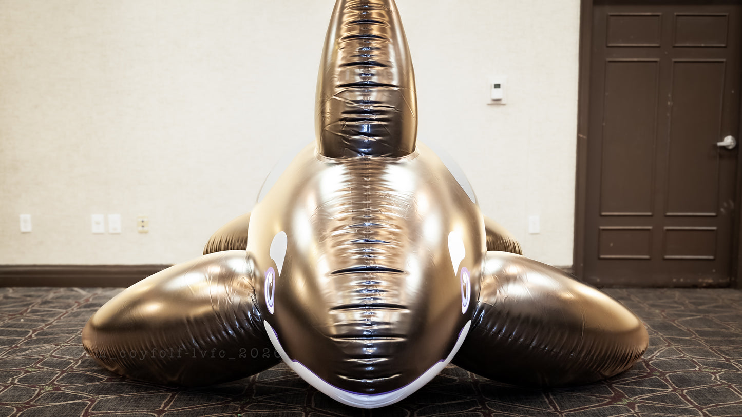 PhenodToy Whale (4m Size) 13ft -IN STOCK-