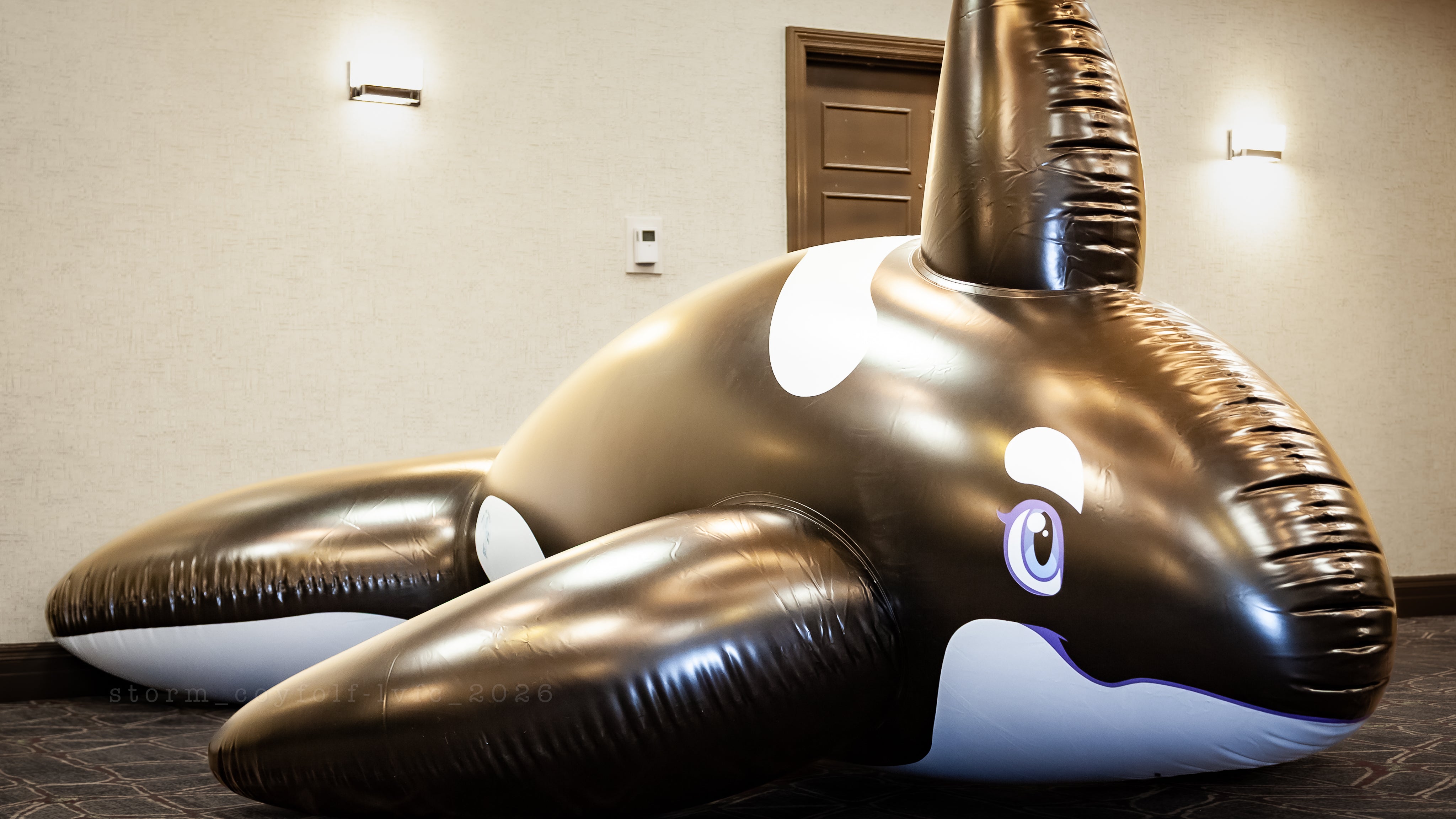 PhenodToy Whale (4m Size) 13ft -IN STOCK-