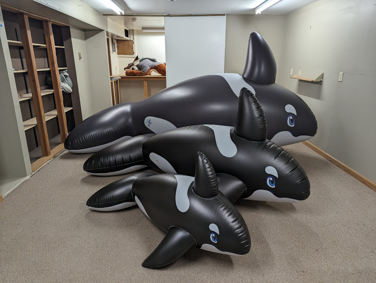 PhenodToy Whale (4m Size)