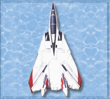 F-14 "Super Tomcat" Fighter